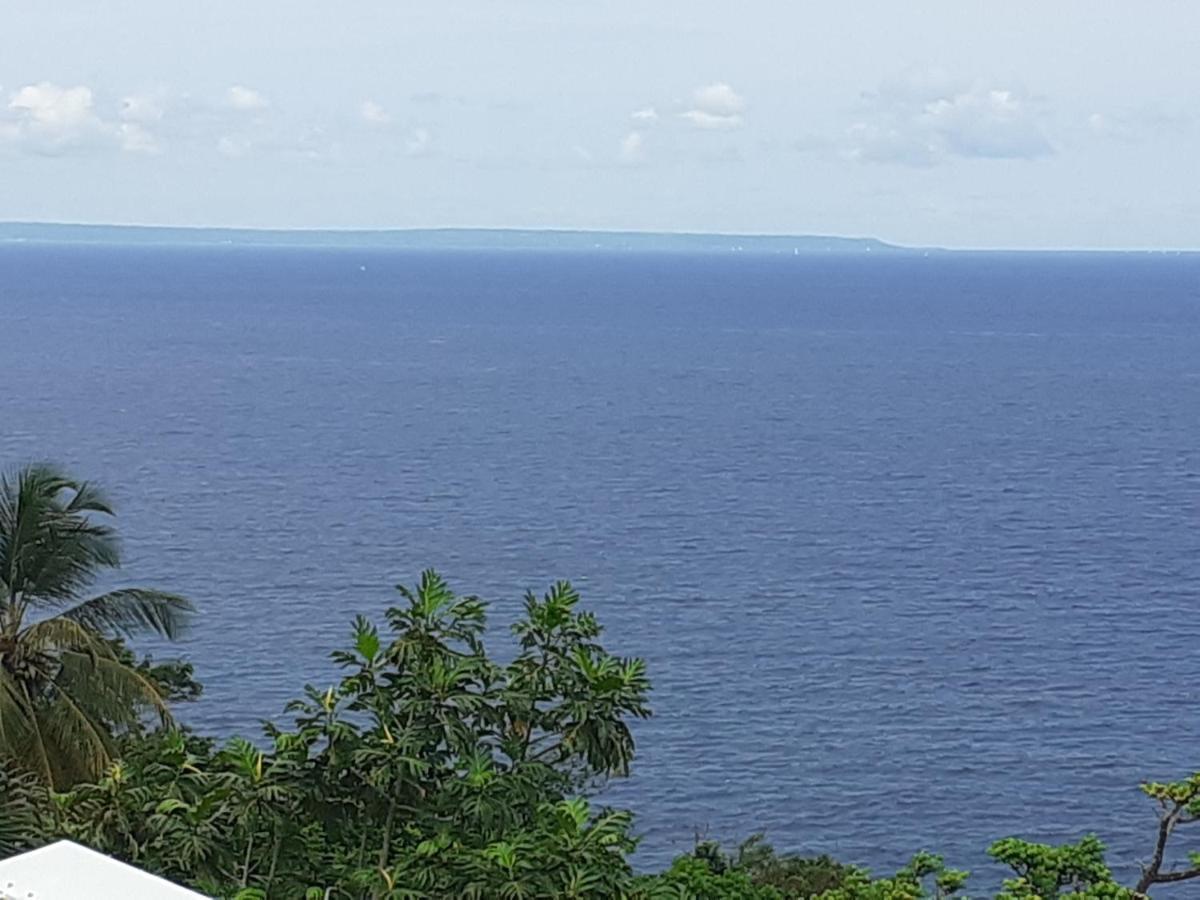 Awmony'Kaz, Gite A Trois-Rivieres Guadeloupe 외부 사진